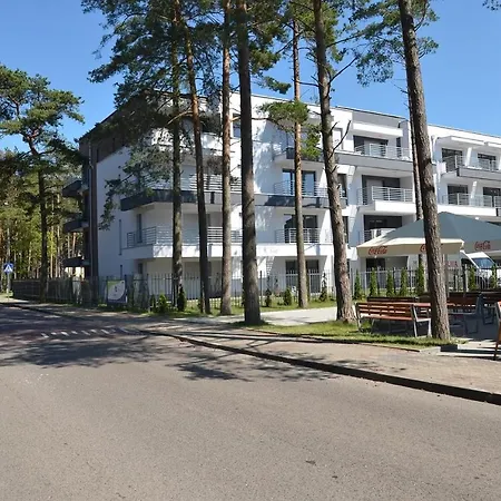 Silver * Pogorzelica (Gmina Rewal)