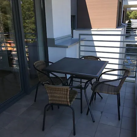 Silver פוגורזליצה