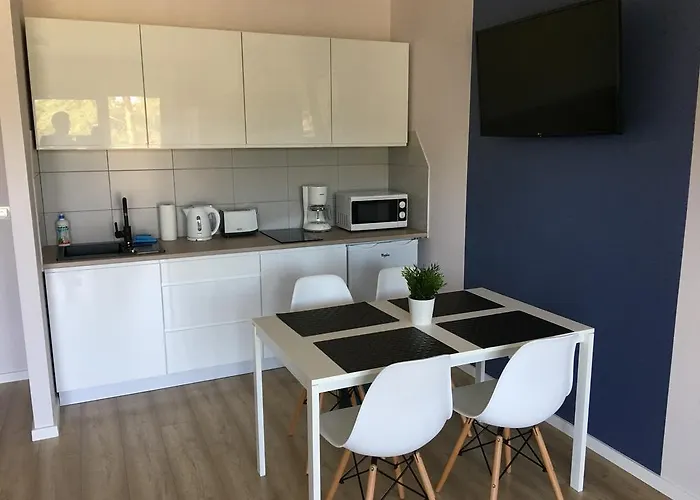 Silver * ポゴジェリツァ